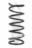 SPIDAN 85032 Coil Spring